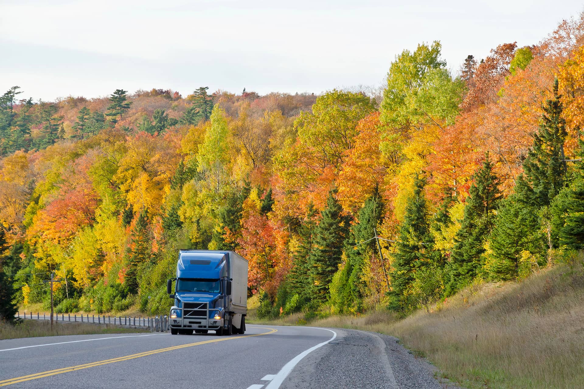 Shipping Solutions LLC Banner Background