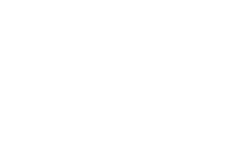 Shipping Solutions LLC Logo - Footer